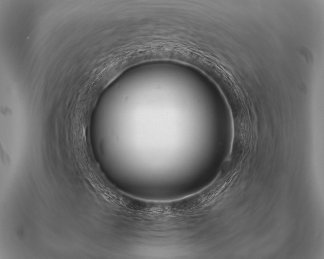 X0000090921489200708061531