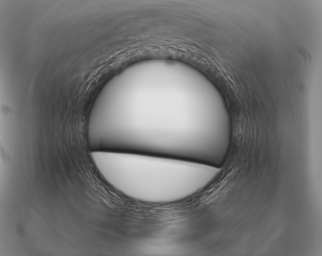 X0000090921490200708061532