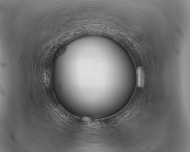X0000090921491200708061532