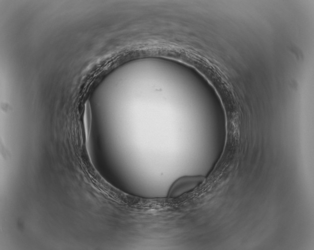 X0000090921493200708061532