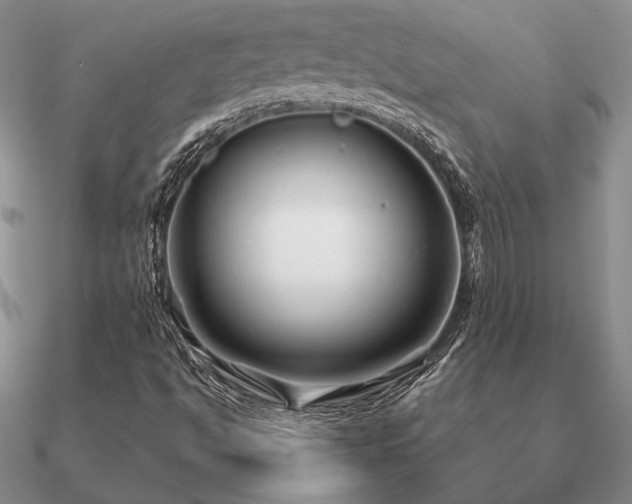 X0000090921494200708061532