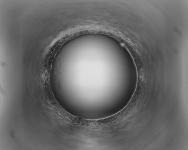 X0000090921495200708061532