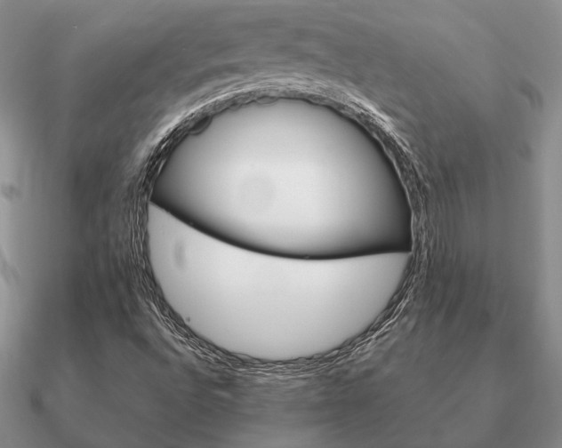 X0000090921496200708061532
