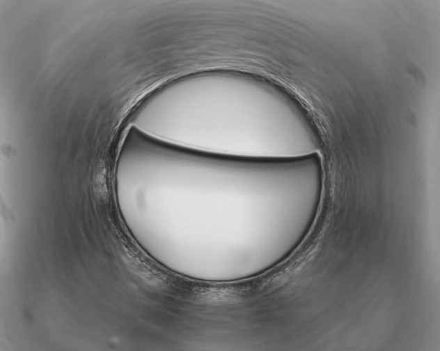 X0000090921497200708061532