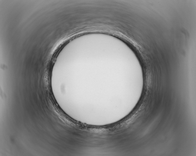X0000090921498200708061532