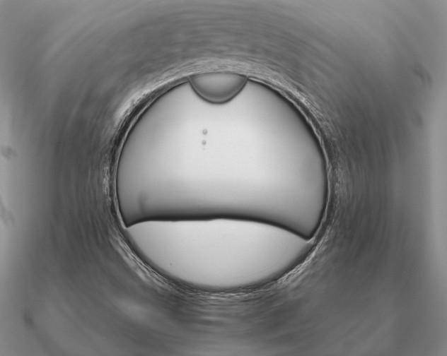 X0000090921499200708061532
