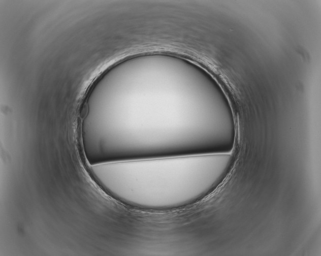X0000090921500200708061532