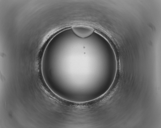 X0000090921501200708061532