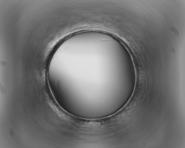 X0000090921503200708061532