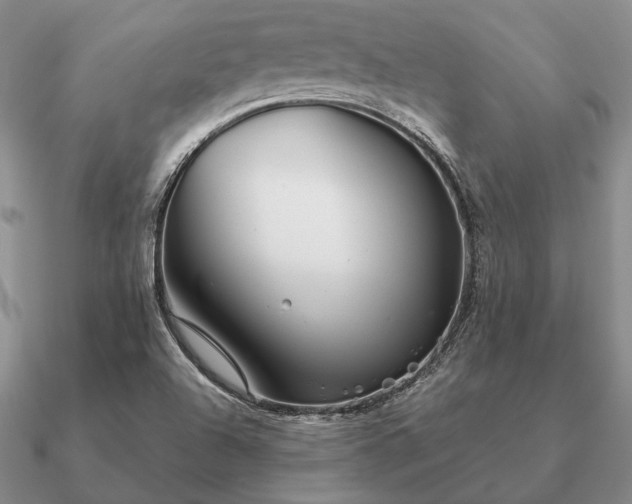 X0000090921504200708061532