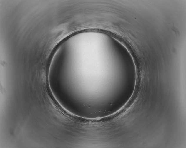 X0000090921505200708061532