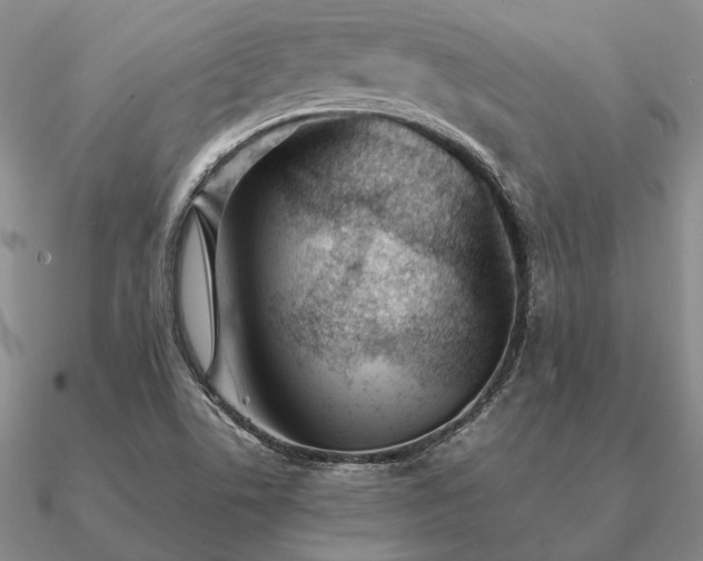 X0000090921506200708061532