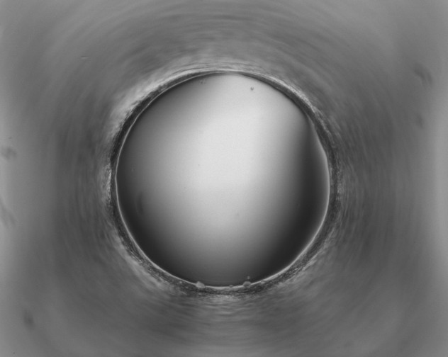 X0000090921507200708061532