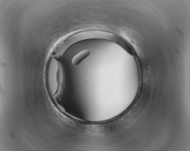 X0000090921508200708061532
