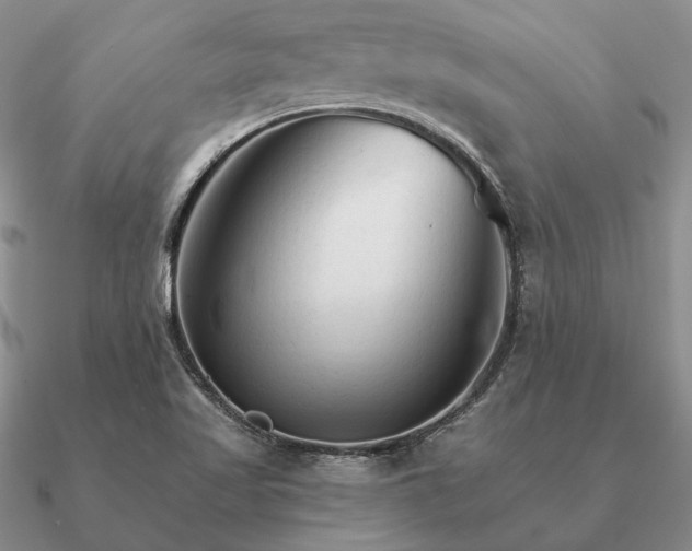 X0000090921509200708061532