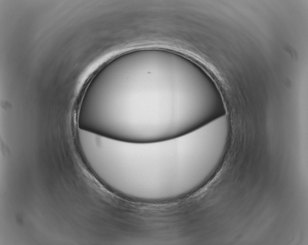 X0000090921510200708061532