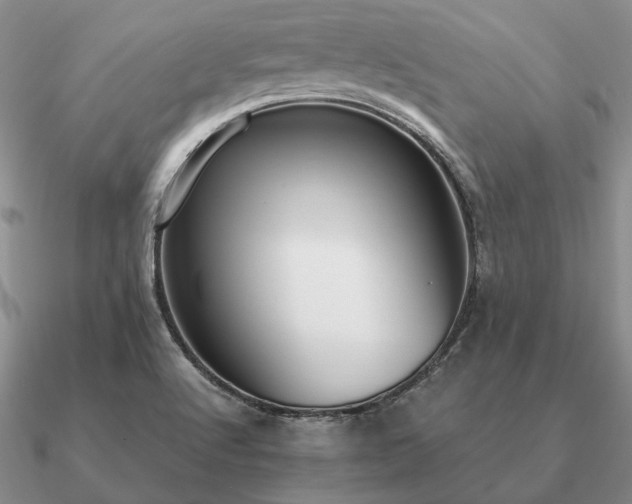 X0000090921512200708061532