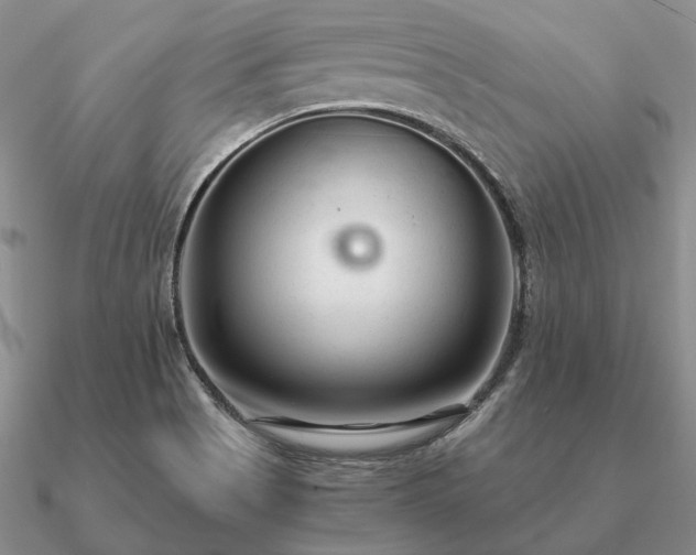 X0000090921513200708061532