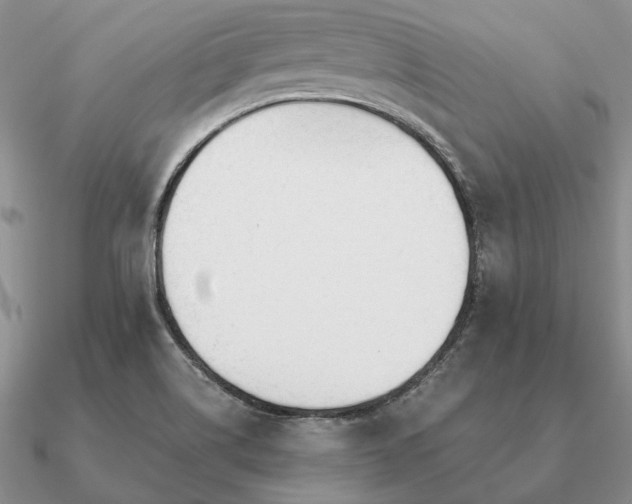 X0000090921514200708061532