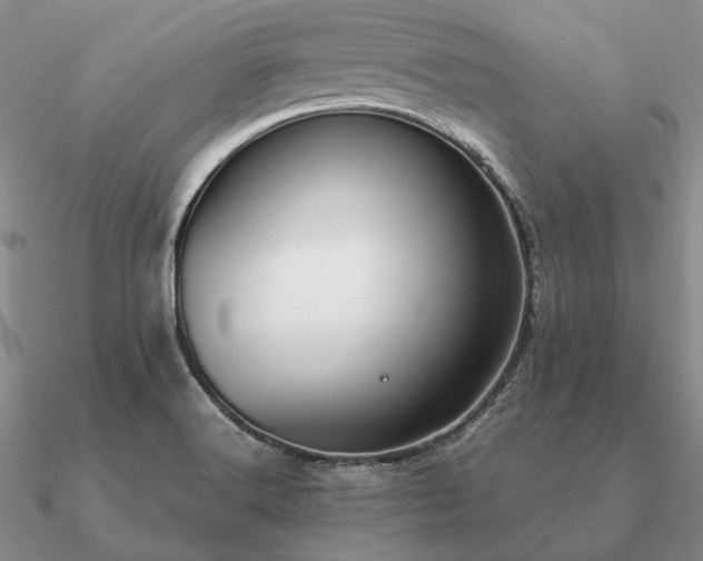 X0000090921516200708061532