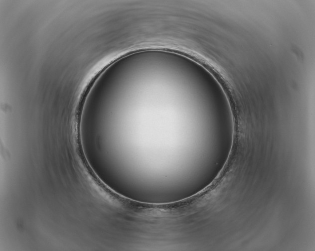 X0000090921517200708061532