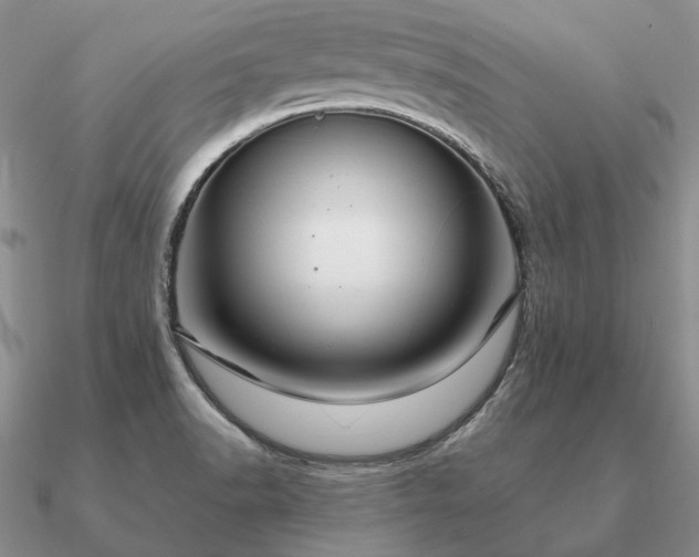 X0000090921518200708061532