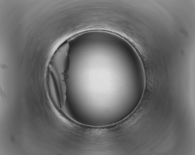 X0000090921519200708061532