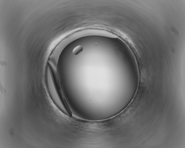 X0000090921520200708061532