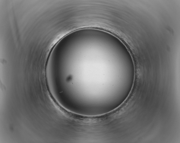 X0000090921521200708061532