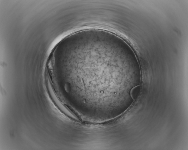 X0000090921522200708061532