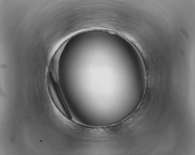 X0000090921524200708061532