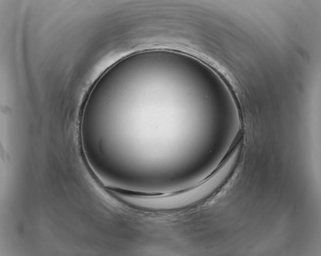 X0000090921525200708061532
