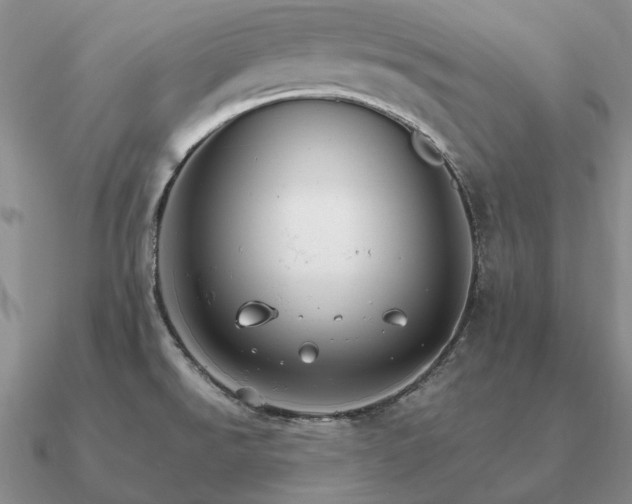 X0000090921526200708061532
