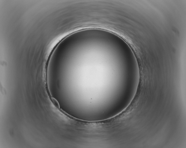 X0000090921527200708061532
