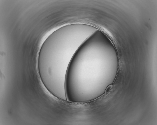 X0000090921528200708061532