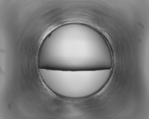 X0000090921529200708061532