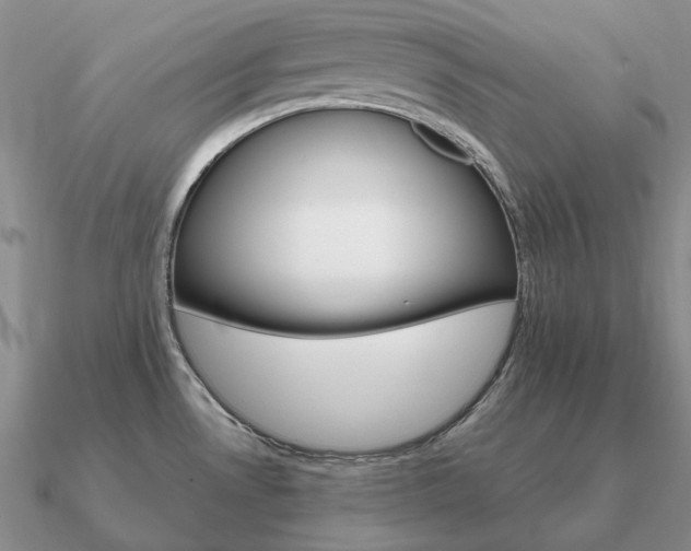 X0000090921530200708061532