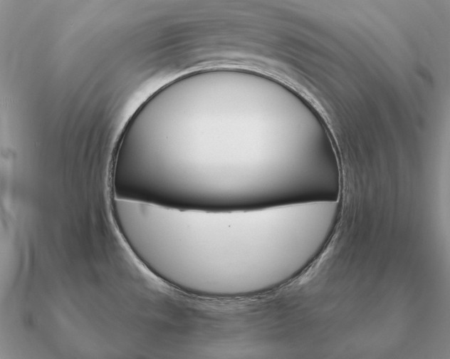 X0000090921533200708061532