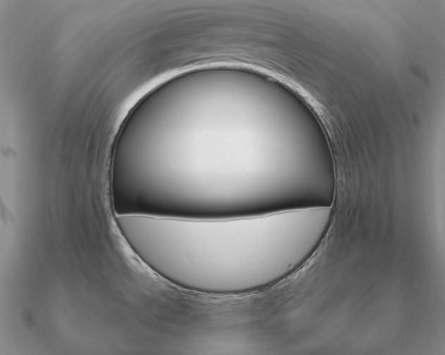 X0000090921534200708061532