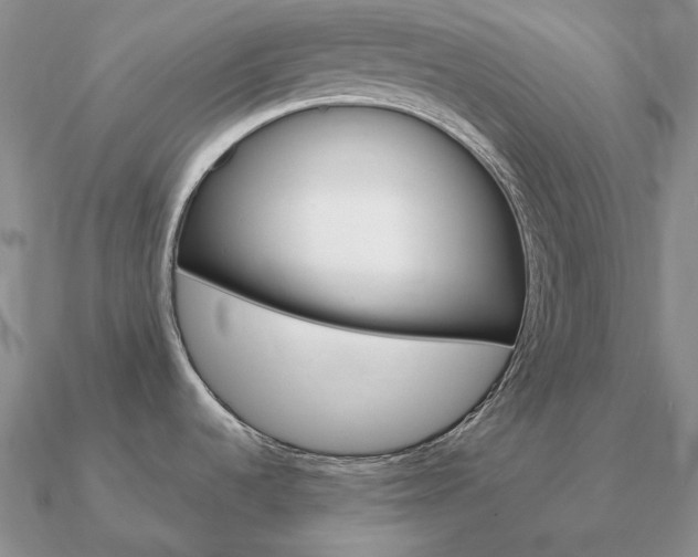 X0000090921536200708061532