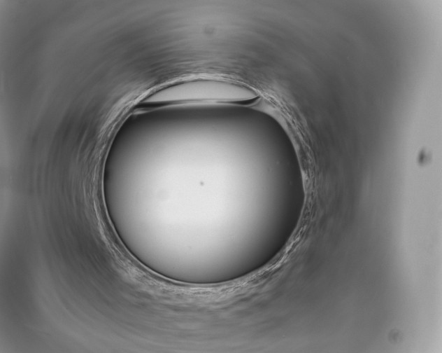 X0000090920001200708131443