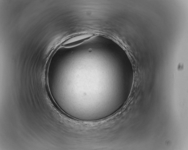 X0000090920002200708131443