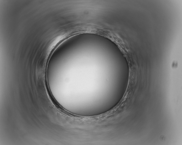 X0000090920003200708131443