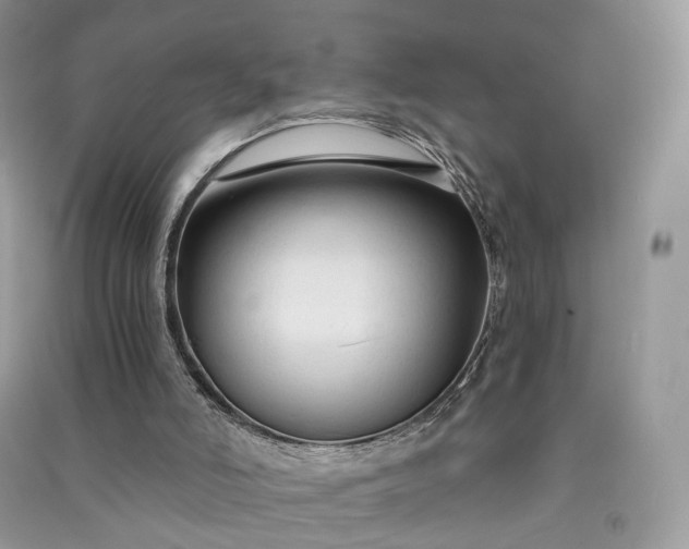 X0000090920006200708131443