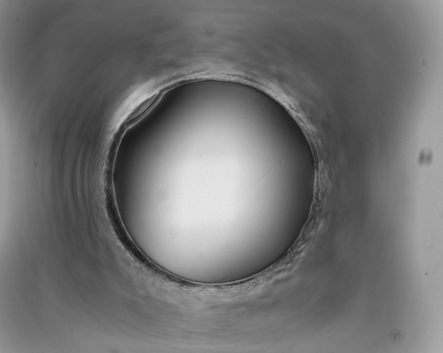 X0000090920007200708131443