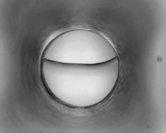 X0000090920008200708131443