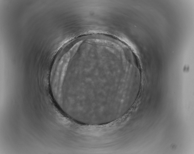 X0000090920009200708131443