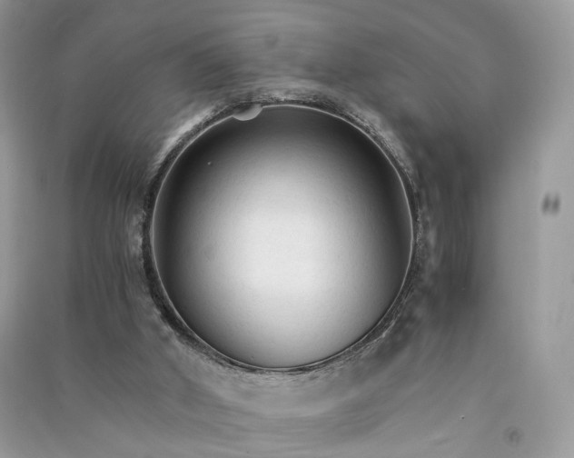 X0000090920010200708131443