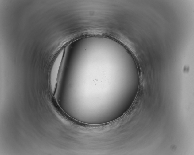 X0000090920013200708131443