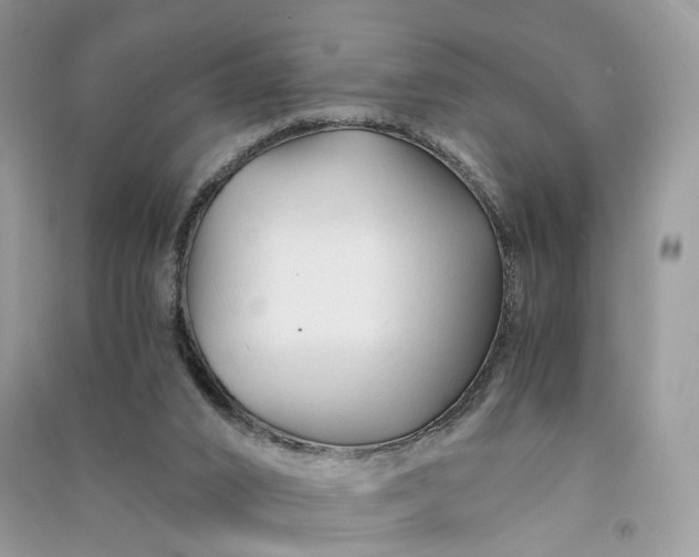 X0000090920016200708131442